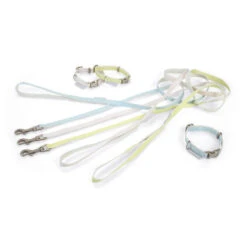 Beeztees Halsband & Lijn 11 Beeztees Halsband & Lijn -Honden Benodigdheden Winkel beeztees halsband lijn 110050 0500 none