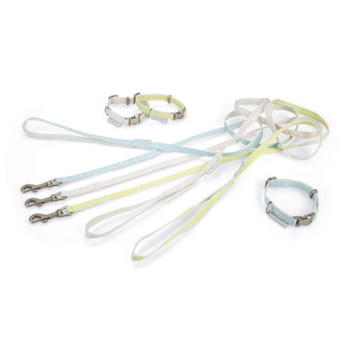 Beeztees Halsband & Lijn 6 Beeztees Halsband & Lijn - Afbeelding 6