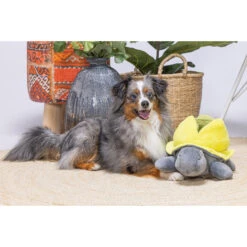 Beeztees Hide And Seek Schildo -Honden Benodigdheden Winkel beeztees hide and seek schildo 221787 2000 none