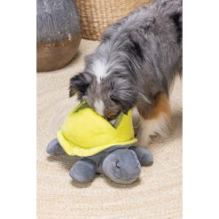 Beeztees Hide And Seek Schildo -Honden Benodigdheden Winkel beeztees hide and seek schildo 221788 2000 none