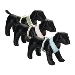 Beeztees Hondentuig 16 Beeztees Hondentuig -Honden Benodigdheden Winkel beeztees hondentuig 110062 0500 none