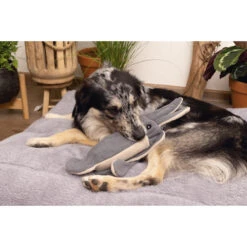 Beeztees Minus One Inktvis 7 Beeztees Minus One Inktvis -Honden Benodigdheden Winkel beeztees minus one inktvis 188091 2000 none