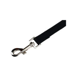 Beeztees Nylon Sliplijn -Honden Benodigdheden Winkel beeztees nylon hondenriem 198527 2000 none