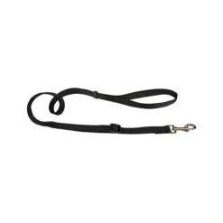 Beeztees Nylon Sliplijn -Honden Benodigdheden Winkel beeztees nylon hondenriem 198530 2000 none