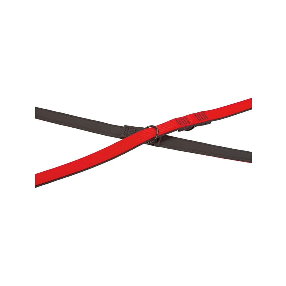 Beeztees Parinca Premium Hondenriem 3 Beeztees Parinca Premium Hondenriem - Afbeelding 3