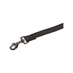 Beeztees Parinca Premium Weblijn -Honden Benodigdheden Winkel beeztees parinca premium weblijn 200144 2000 none