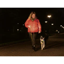 Beeztees Safety Gear Parinca Premium Hondenriem -Honden Benodigdheden Winkel beeztees safety gear parinca premium hondenriem 215042 2000 none