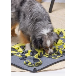 Beeztees Snuffelmat Flora -Honden Benodigdheden Winkel beeztees snuffelmat flora 221755 1500 none