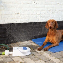 Beeztees Splashy Waterfontein -Honden Benodigdheden Winkel beeztees splashy waterfontein 163285 2000 none