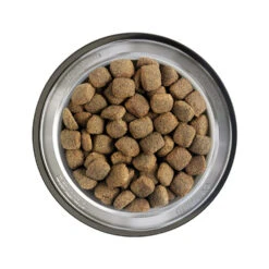 Belcando Junior Maxi -Honden Benodigdheden Winkel belcando junior maxi 217587 1000 none