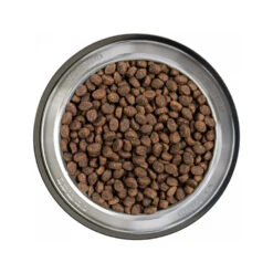 Belcando Puppy Gravy 7 Belcando Puppy Gravy -Honden Benodigdheden Winkel belcando puppy gravy 217770 1000 none