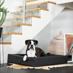 Bia Kunstleer Hoes -Honden Benodigdheden Winkel bia kunstleer hoes taupe 164125 0500 none