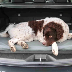 Bia Original Matras Grijs -Honden Benodigdheden Winkel bia original matras grijs 164077 0500 none