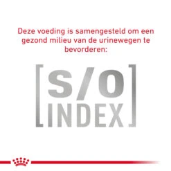 Royal Canin VCN - Mature Consult - Pouch -Honden Benodigdheden Winkel cKKCqmtqn98bLLnNWBqjWLxew3O36n metaR0FTVFJPSU5URVNUSU5BTC1GSUJSRS1SRVNQT05TRS02LmpwZw