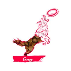 Calibra Dog Expert Nutrition Energy -Honden Benodigdheden Winkel calibra expert nutrition energy hundefutter huhn reis 1