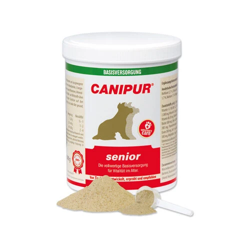 Canipur Senior 1 Canipur Senior