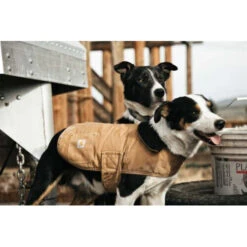 Carhartt Dog Chore Coat -Honden Benodigdheden Winkel carhartt dog chore coat 186748 0500 none