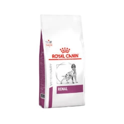 Royal Canin Renal Hond -Honden Benodigdheden Winkel cb9d829401c0fba41ae680dee0328e93022e83b6685bb40fdf15358058998f30 3