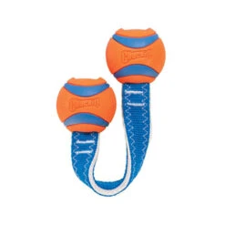 Chuckit! Ultra Duo Tug -Honden Benodigdheden Winkel chuckit ultra duo tug 122954 0500 none