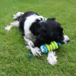 Coockoo Larry 23 Coockoo Larry -Honden Benodigdheden Winkel coockoo larry 216712 1000 none