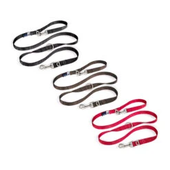 Curli Adjustable Leash Nylon -Honden Benodigdheden Winkel curli adjustable leash nylon 219397 2000 none