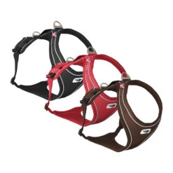 Curli Belka Comfort Harness -Honden Benodigdheden Winkel curli belka comfort harness 136339 1000 none