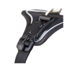 Curli Magnetic Belka Comfort Harness -Honden Benodigdheden Winkel curli magnetic belka comfort harness 219392 2000 none