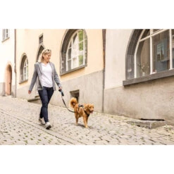 Curli Magnetic Belka Comfort Harness -Honden Benodigdheden Winkel curli magnetic belka comfort harness 219394 2000 none