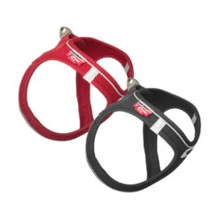 Curli Magnetic Vest Harness -Honden Benodigdheden Winkel curli magnetic vest harness 136330 1000 none