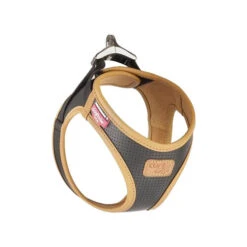Curli Harnas Vegan Appelleer -Honden Benodigdheden Winkel curli vegan apple leather harness black s 133509 0500 none