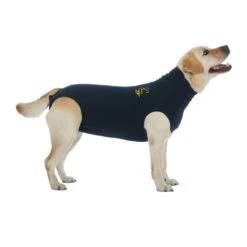 Medical Pet Shirt Hond -Honden Benodigdheden Winkel d6b6e72c0c66b08d0b13da5aad637bf40060e94b0fa78c8d5a66e7fb0ea7b6e6 3