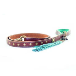 DWAM Hondenriem Joe -Honden Benodigdheden Winkel d851e1da746a7ed69e57f268b3d363ea01f1b2f4b9f1cd7e247e9dd6aefa05ae 4