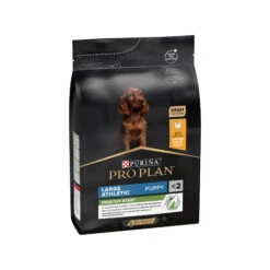 Purina Pro Plan Dog Puppy - Large Breed -Honden Benodigdheden Winkel dU70BJbmRXzQ8Dr0cGHov2aotxkGjW metaUHVyaW5hLVByby1QbGFuLUxhcmdlLUJyZWVkLUF0aGxldGljLmpwZw