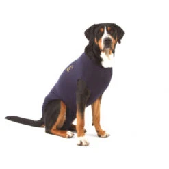 Medical Pet Shirt Hond -Honden Benodigdheden Winkel dc135c94db153807fea16f7c752e25c7c98d5ab9f462742e2b5a192c8af8d6bc 3