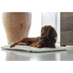 Designed By Lotte Benchkussen Gisel -Honden Benodigdheden Winkel designed by lotte benchkussen gisel 221516 1000 none