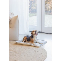 Designed By Lotte Benchkussen Gisel -Honden Benodigdheden Winkel designed by lotte benchkussen gisel 221517 1500 none