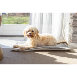 Designed By Lotte Benchkussen Gisel -Honden Benodigdheden Winkel designed by lotte benchkussen gisel 221518 1500 none