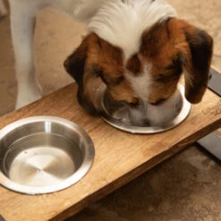 Designed By Lotte Houten Dinerset Karinto -Honden Benodigdheden Winkel designed by lotte houten dinerset karinto 164311 2000 none