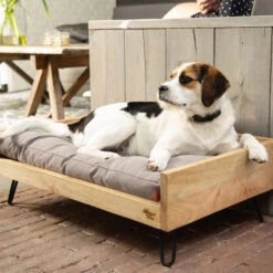 Designed By Lotte Ligmand Turana -Honden Benodigdheden Winkel designed by lotte ligmand turana 170029 2000 none