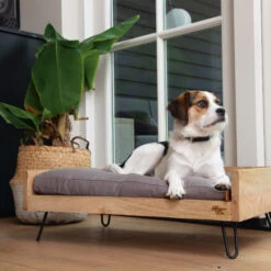 Designed By Lotte Ligmand Turana -Honden Benodigdheden Winkel designed by lotte ligmand turana 170032 2000 none