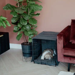 District 70 Crate Bench Hoes 34 District 70 Crate Bench Hoes -Honden Benodigdheden Winkel district 70 crate cover 191152 0500 none