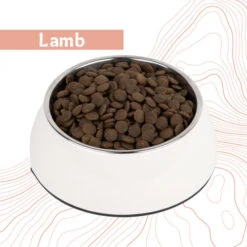 Antelope Fresh Adult Hondenvoer -Honden Benodigdheden Winkel dnlmZiK5CGm1AT44rBAIQzpXogTZ11 metaYW50ZWxvcGVfZnJlc2hfYWR1bHRfaG9uZGVudm9lcl9sYW1iLmpwZw