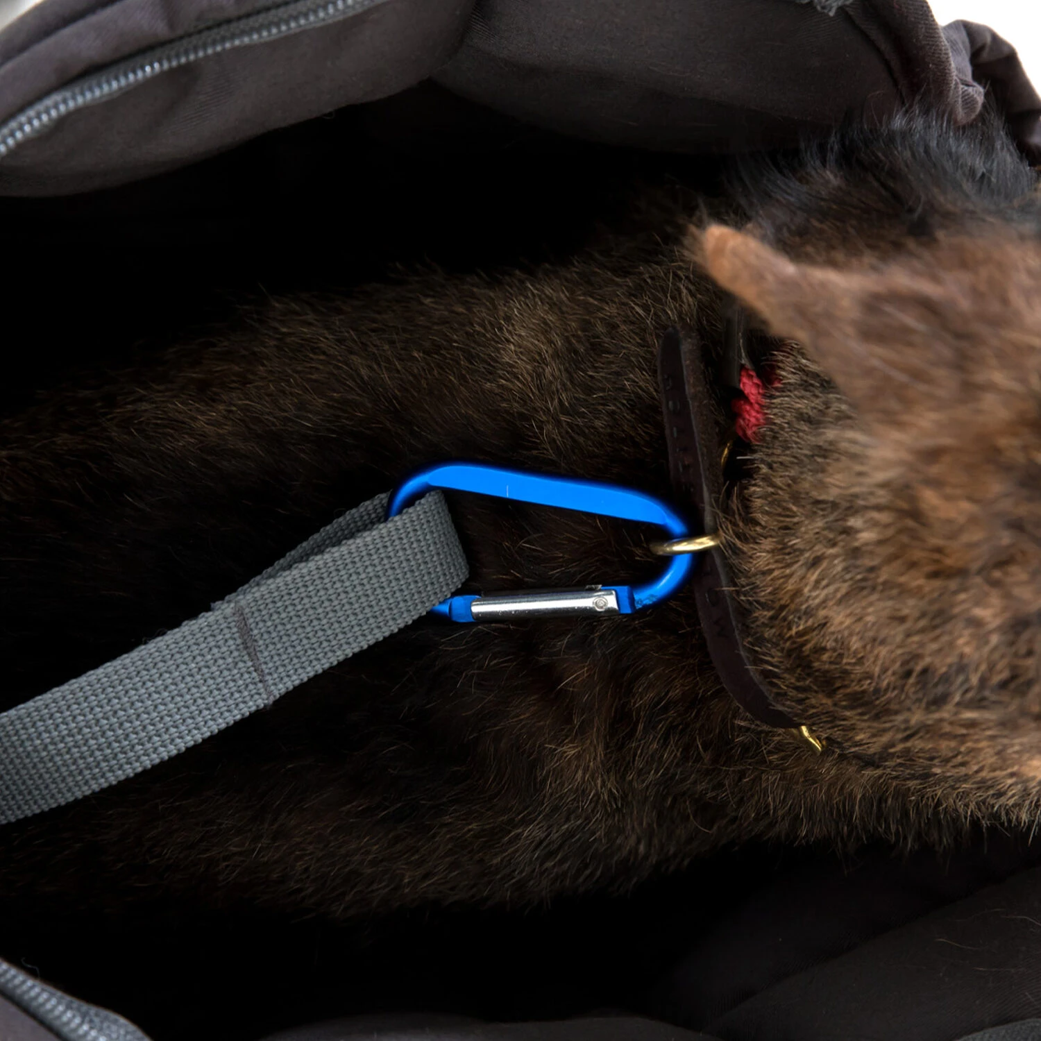 Doctor Bark Dog Carrier Bag 10 Doctor Bark Dog Carrier Bag - Afbeelding 10