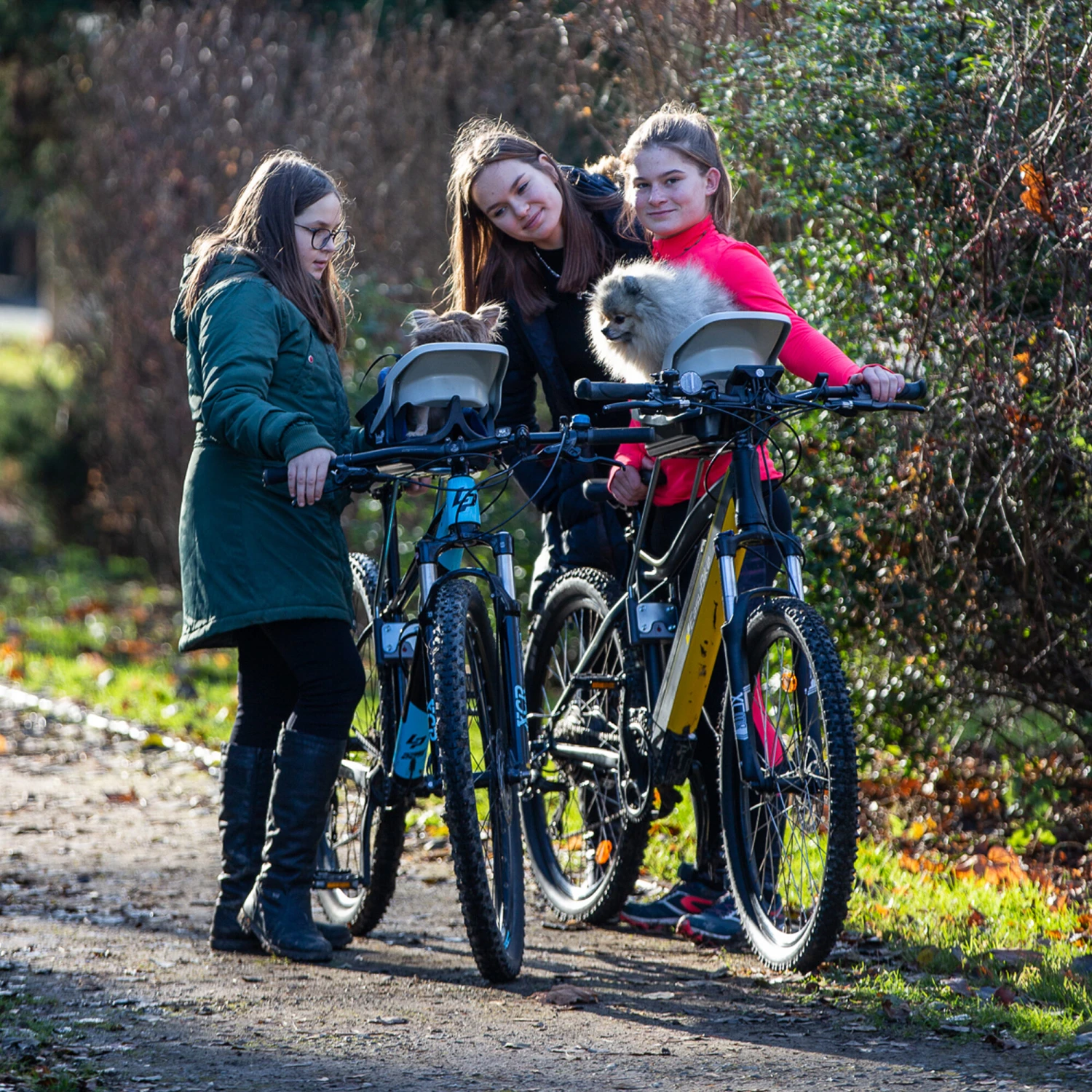 Dogrider Dog Seat + Mand - Grijs 6 Dogrider Dog Seat + Mand - Grijs - Afbeelding 6