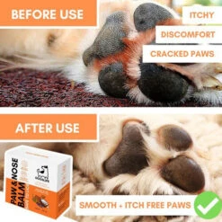 Dogslife Paw & Nose Balm -Honden Benodigdheden Winkel dogslife paw nose balm 219825 0500 none