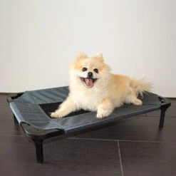 Duvo+ Hondenstretcher Relax -Honden Benodigdheden Winkel duvo hondenstretcher relax 199796 1000 none