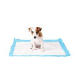 Duvo+ Puppy Pads -Honden Benodigdheden Winkel duvo puppy pads large 50 stuks 108439 1000 none