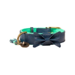 DWAM Halsband Buster -Honden Benodigdheden Winkel dwam buster halsband blauw xxl 113113 1000 none