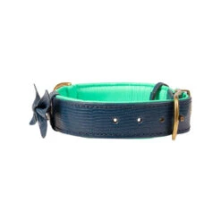 DWAM Halsband Buster -Honden Benodigdheden Winkel dwam buster halsband 186295 1000 none