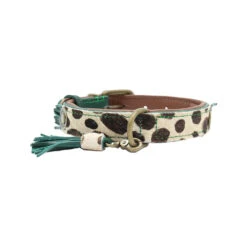 DWAM Halsband Ivy -Honden Benodigdheden Winkel dwam halsband ivy 180664 1000 none